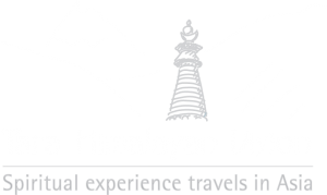 nieuwsbrief-logo-tarahimalayanvision